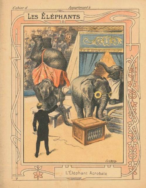 Série Eléphants (Coll. Godchaux)