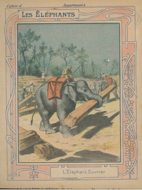 Série Eléphants (Coll. Godchaux)