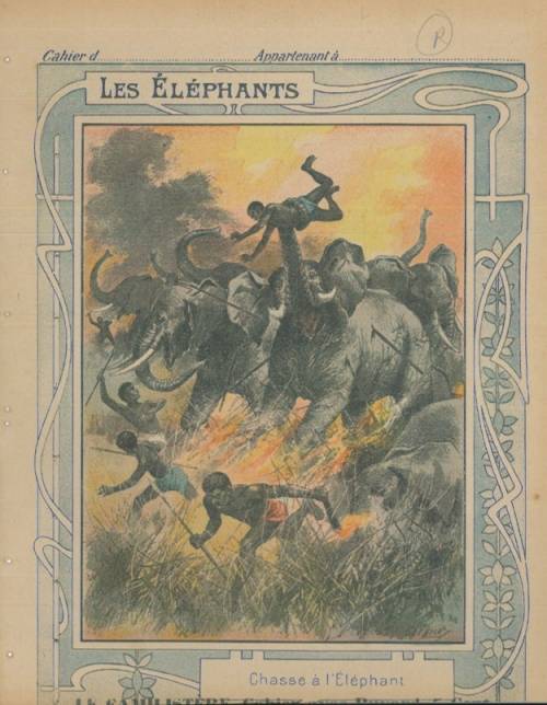 Série Eléphants (Coll. Godchaux)