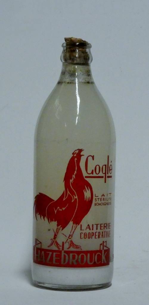 Bouteille de lait "Cogle"