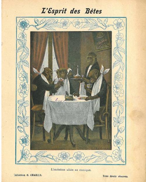 Série Esprit des bêtes (Charier)