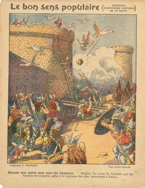 Série Bon sens populaire