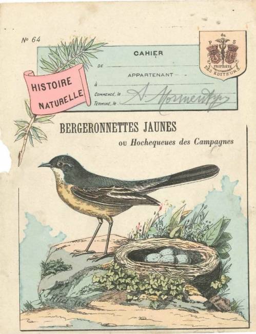 Série Histoire naturelle (1)