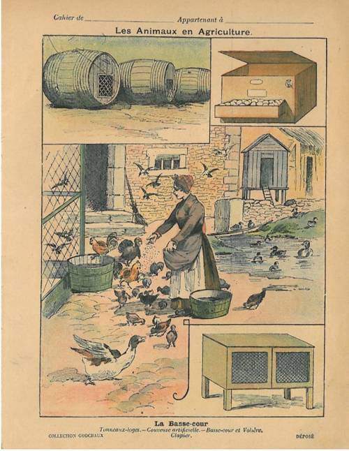 Série Animaux en agriculture