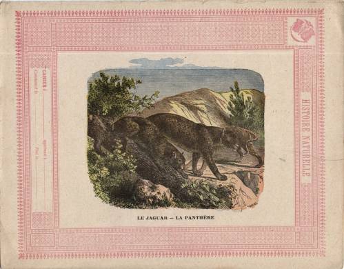 Série Histoire naturelle (3 rouge)